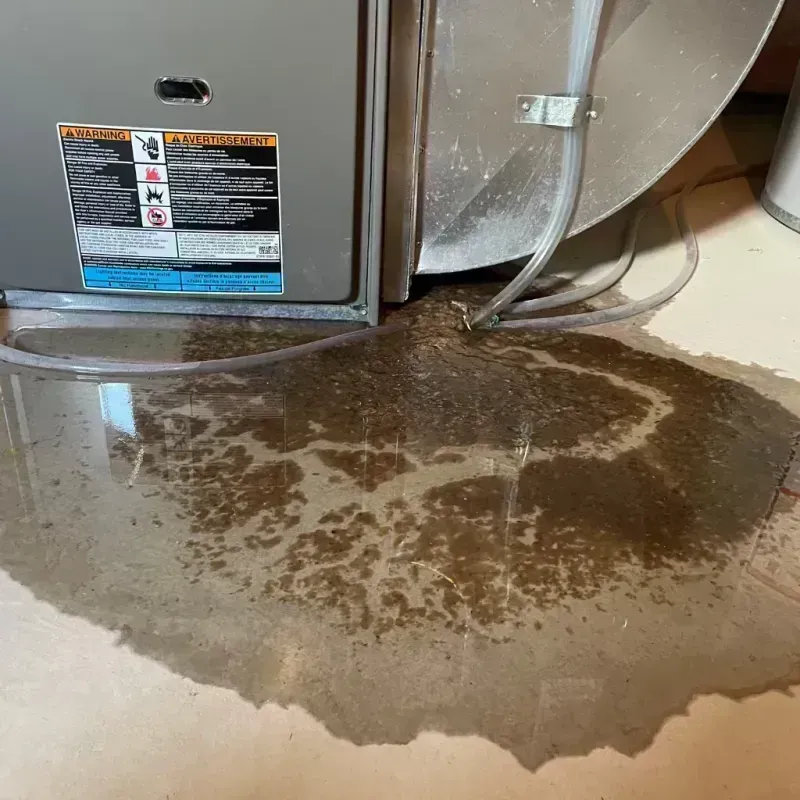 Appliance Leak Cleanup in Tremont, IL